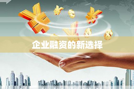 长洲企业融资的新选择