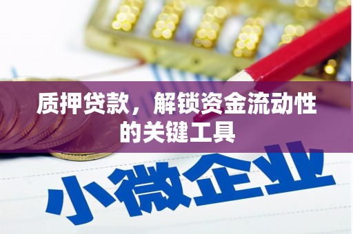 长洲质押贷款，解锁资金流动性的关键工具