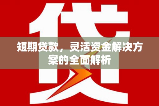 长洲短期贷款，灵活资金解决方案的全面解析