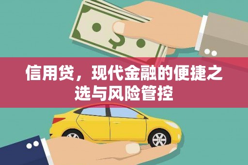 长洲信用贷，现代金融的便捷之选与风险管控