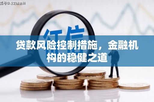 长洲贷款风险控制措施，金融机构的稳健之道