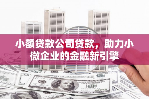 长洲小额贷款公司贷款，助力小微企业的金融新引擎