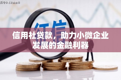长洲信用社贷款，助力小微企业发展的金融利器