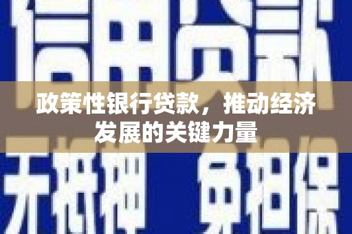 长洲政策性银行贷款，推动经济发展的关键力量