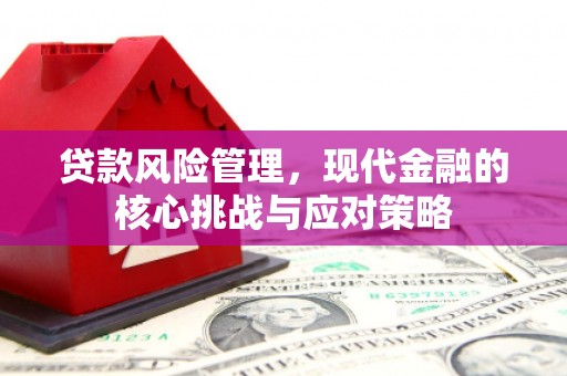 长洲贷款风险管理，现代金融的核心挑战与应对策略