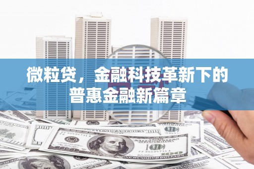 长洲微粒贷，金融科技革新下的普惠金融新篇章