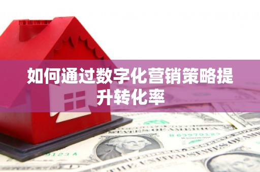 长洲如何通过数字化营销策略提升转化率