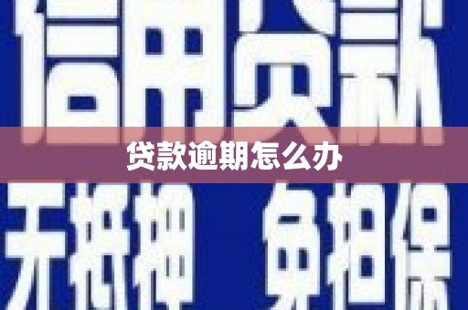 长洲贷款逾期怎么办