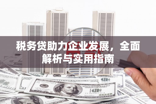 长洲税务贷助力企业发展，全面解析与实用指南
