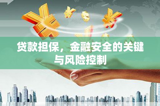 长洲贷款担保，金融安全的关键与风险控制