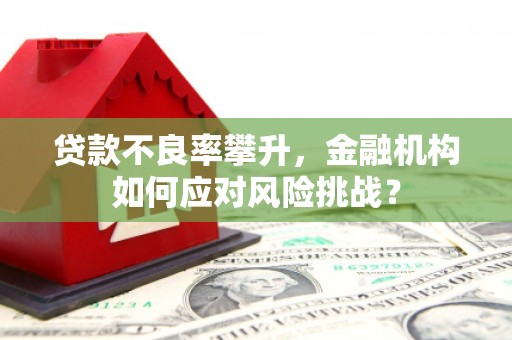长洲贷款不良率攀升，金融机构如何应对风险挑战？