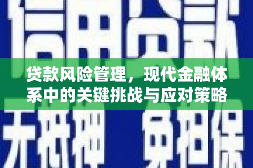 长洲贷款风险管理，现代金融体系中的关键挑战与应对策略