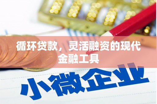长洲循环贷款，灵活融资的现代金融工具