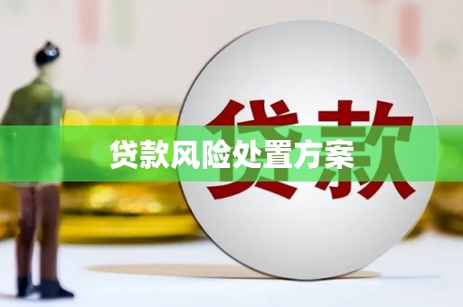 长洲贷款风险处置方案
