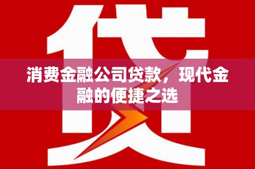 长洲消费金融公司贷款，现代金融的便捷之选