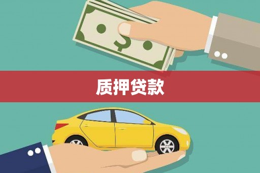 长洲质押贷款