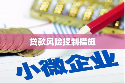 长洲贷款风险控制措施