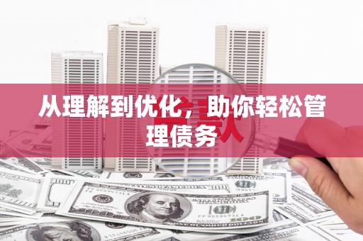 长洲从理解到优化，助你轻松管理债务
