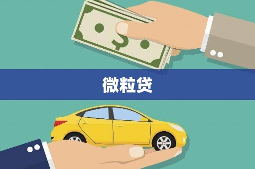 长洲微粒贷