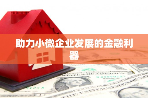 长洲助力小微企业发展的金融利器