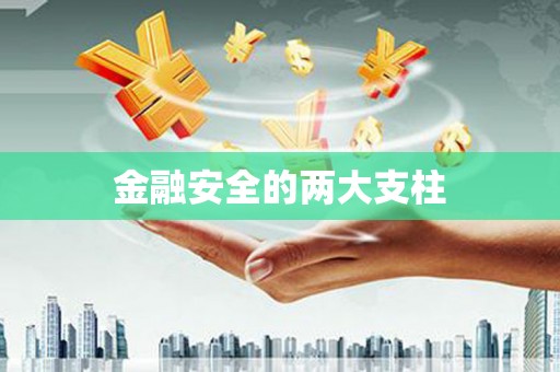 长洲金融安全的两大支柱