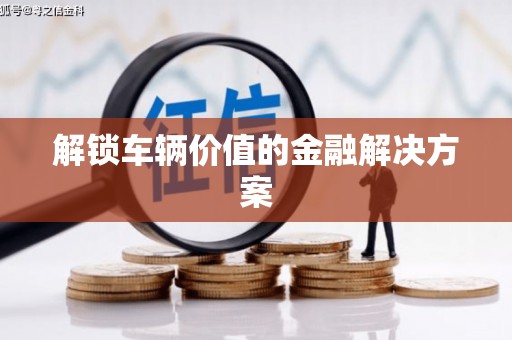 长洲解锁车辆价值的金融解决方案