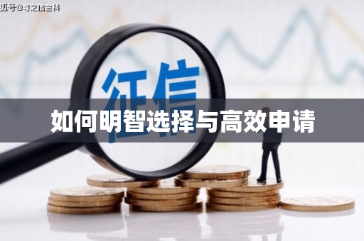 长洲如何明智选择与高效申请