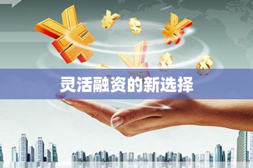 长洲灵活融资的新选择