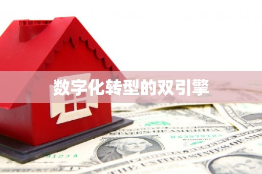 长洲数字化转型的双引擎