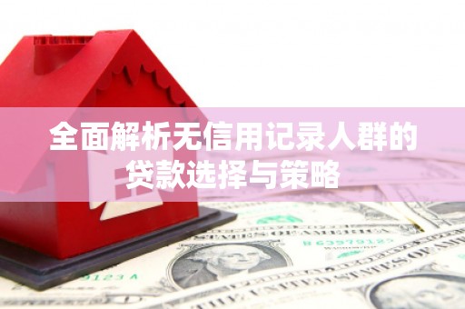 长洲全面解析无信用记录人群的贷款选择与策略