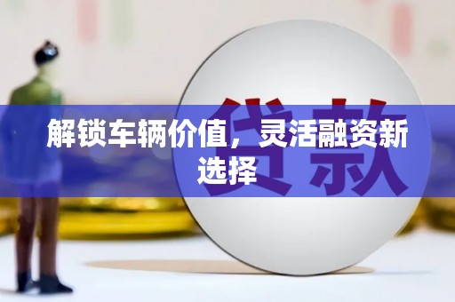 长洲解锁车辆价值，灵活融资新选择