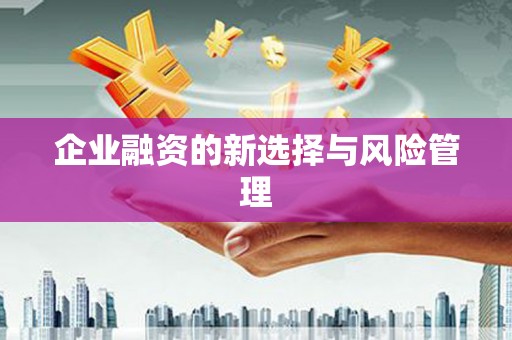 长洲企业融资的新选择与风险管理