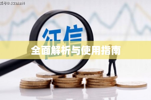 长洲全面解析与使用指南