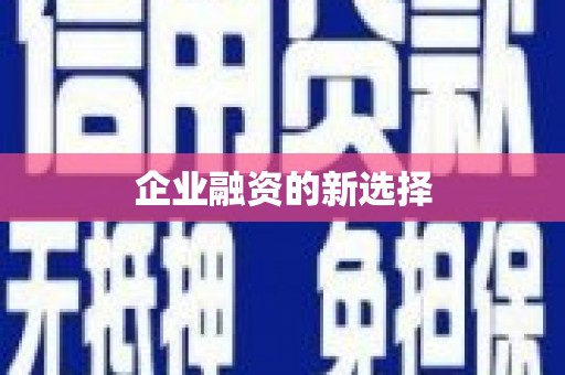 长洲企业融资的新选择