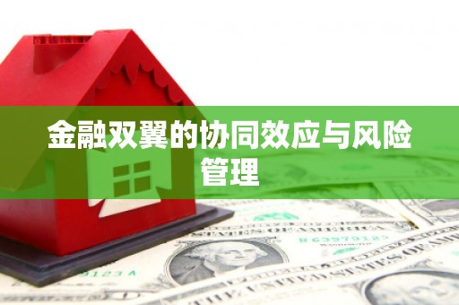 长洲金融双翼的协同效应与风险管理