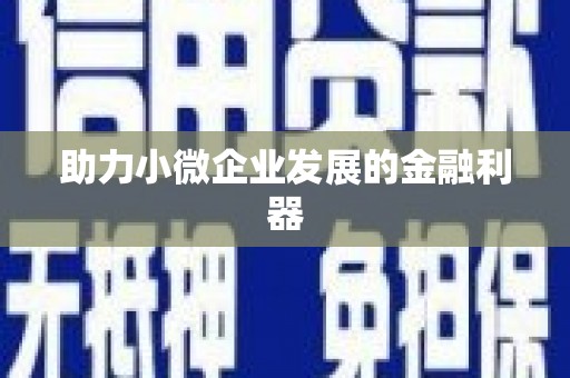 长洲助力小微企业发展的金融利器