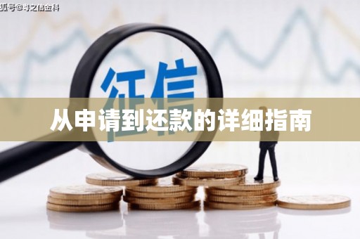 长洲从申请到还款的详细指南