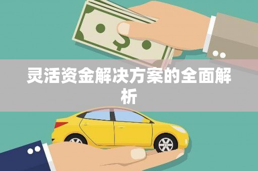 长洲灵活资金解决方案的全面解析