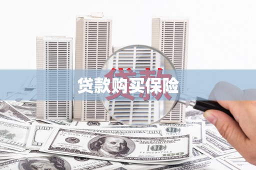 长洲贷款购买保险